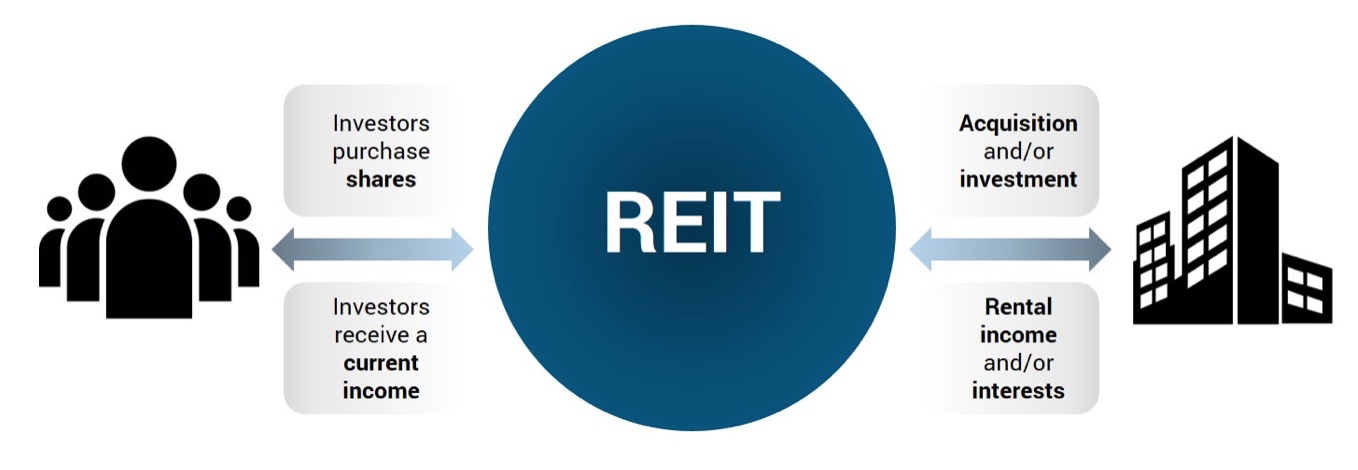 Informationless investing in reits own goal betting rules for roulette